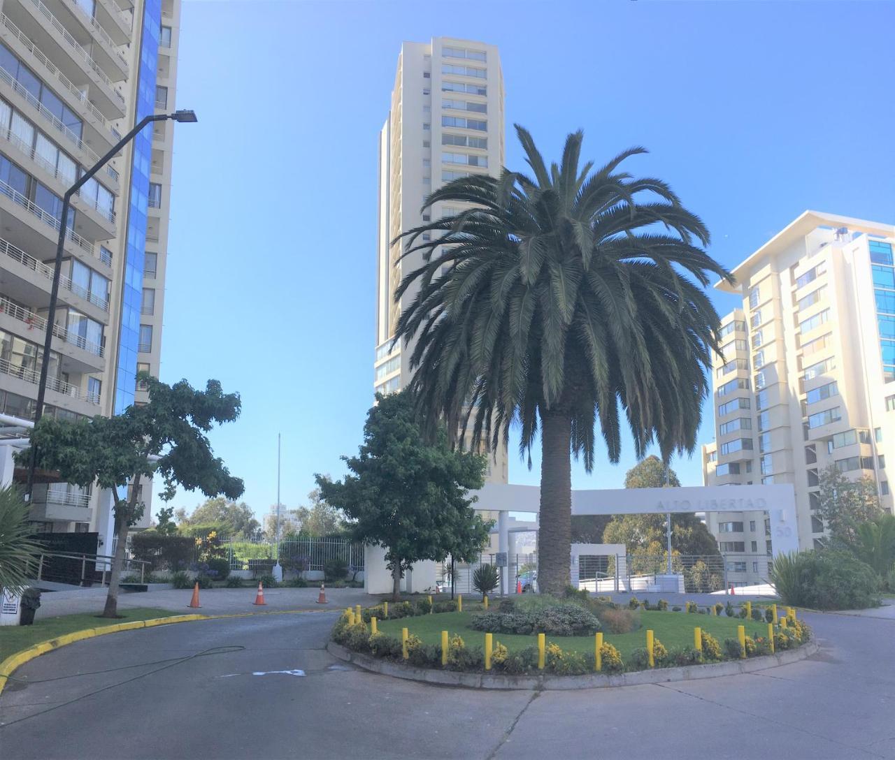 דירות וינה דל מר Departamento Alto Libertad Meseta Coraceros מראה חיצוני תמונה